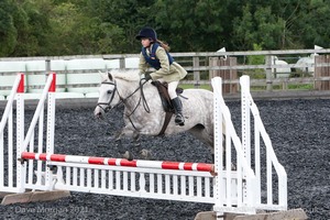 Class 5 - Fences not above 2'6